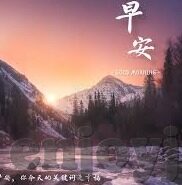 5足球500比分直播-深度揭秘，5足球500比分直播——球迷的实时观赛新体验
