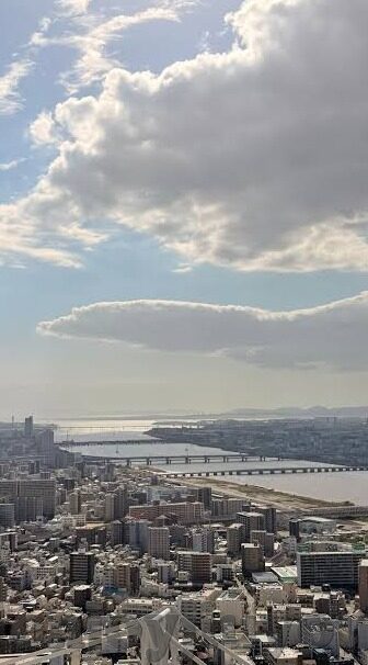 赢比分足球比分即时比分-赢比分,足球世界的即时脉搏——解析足球比分即时比分的重要性与魅力