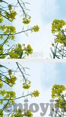 足球比分001-足球比分001，一场比赛背后的数字密码与情感交响