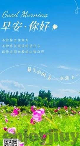 足球网直播比分-足球网直播比分，球迷的实时信息战场与情感纽带